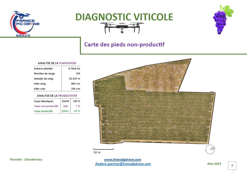 Ceps des non-productifs